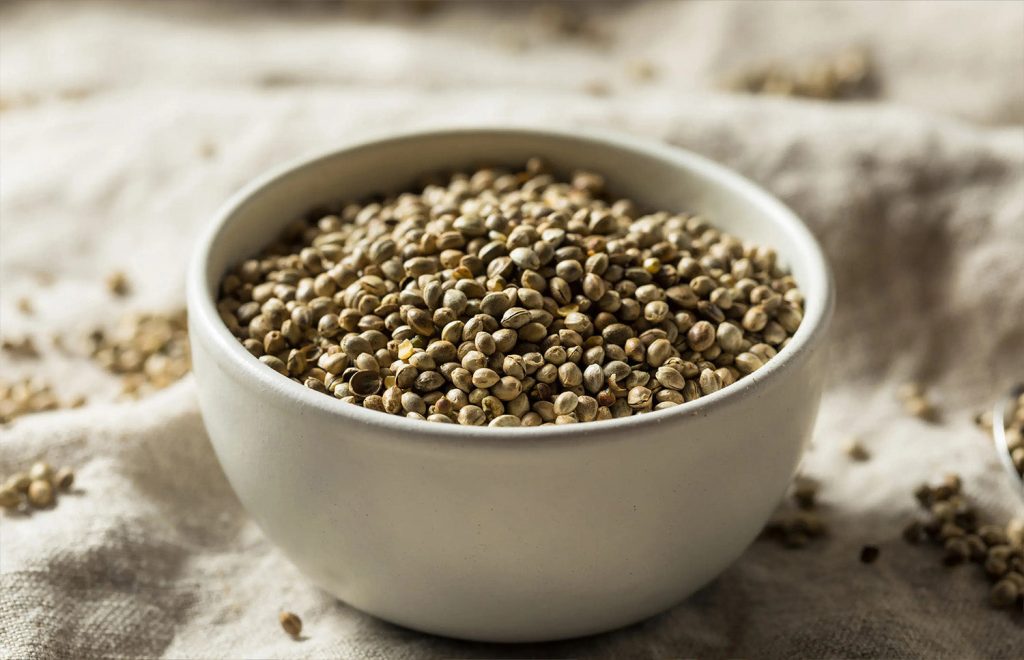 Cannabis Seeds in Your Diet: A Pathway to Holistic Wellness