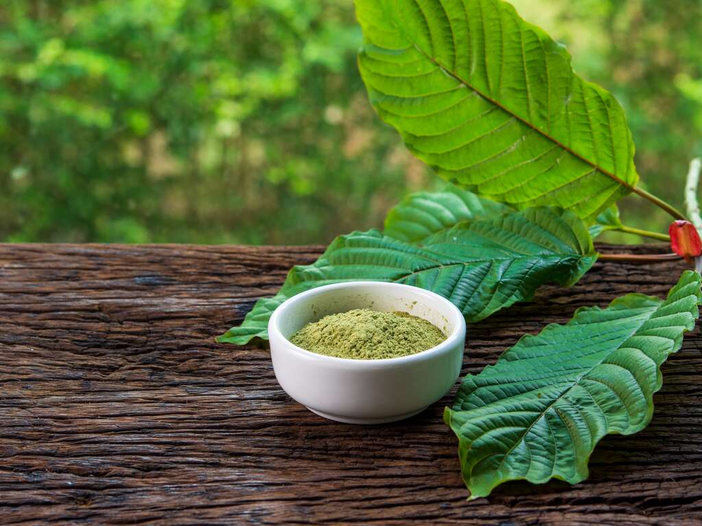 kratom effects